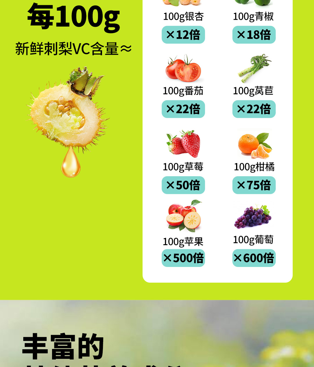 黔小菓刺梨复合压片糖果-详情页_09.jpg